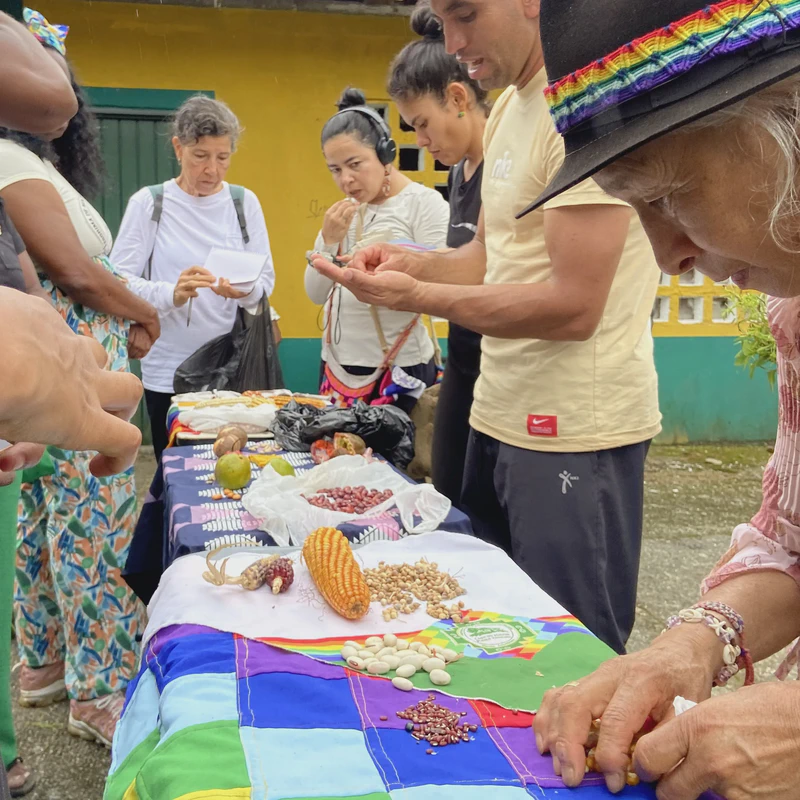 Cuarta asamblea de mundos posibles