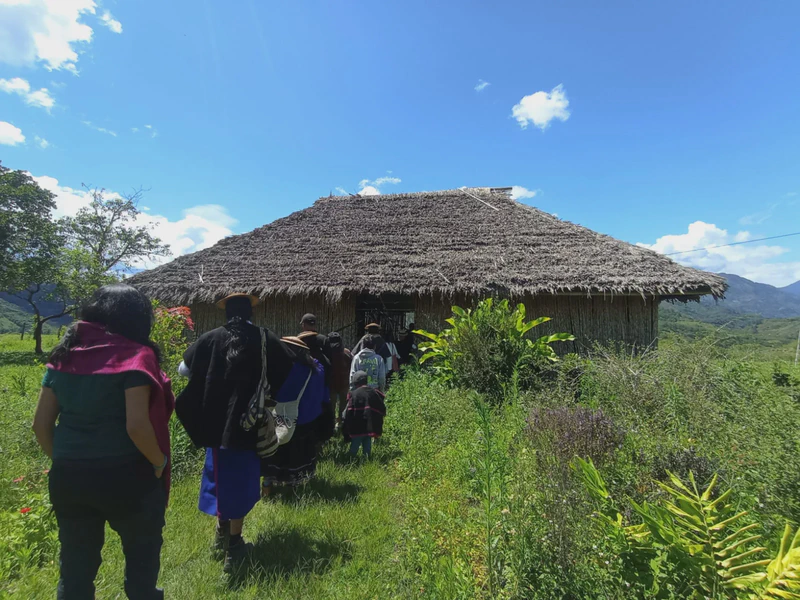 Palabreo de Kampa Wam: lenguajes naturales, pictogramas, petroglifos y arqueologías