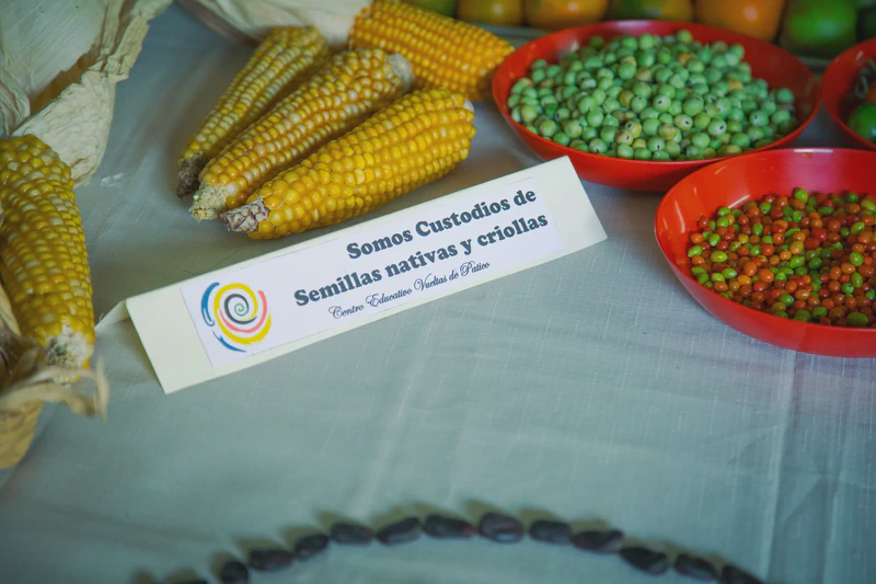 Minga de intercambio de semillas, sabores y poderes