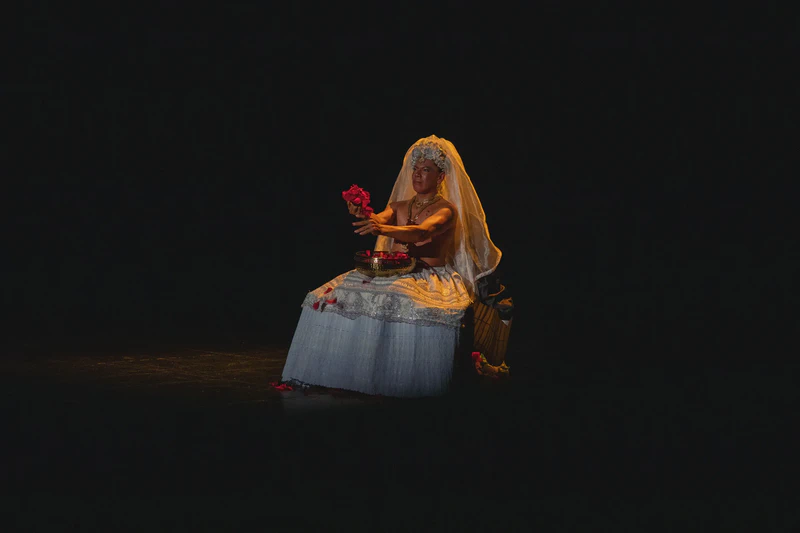 Performance: Réquiem para un alcaraván