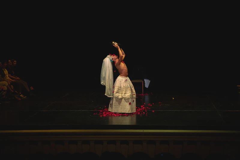 Performance: Réquiem para un alcaraván