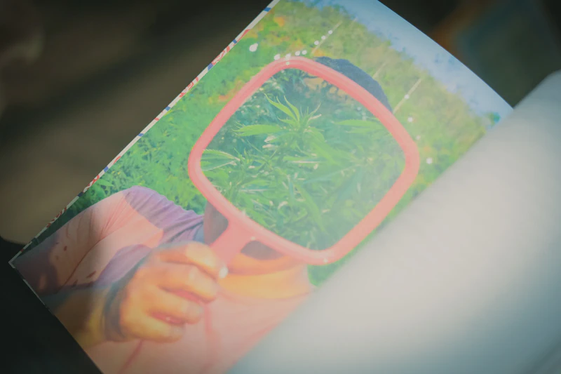 Lanzamiento revista GACETA 'Drogas' y cierre