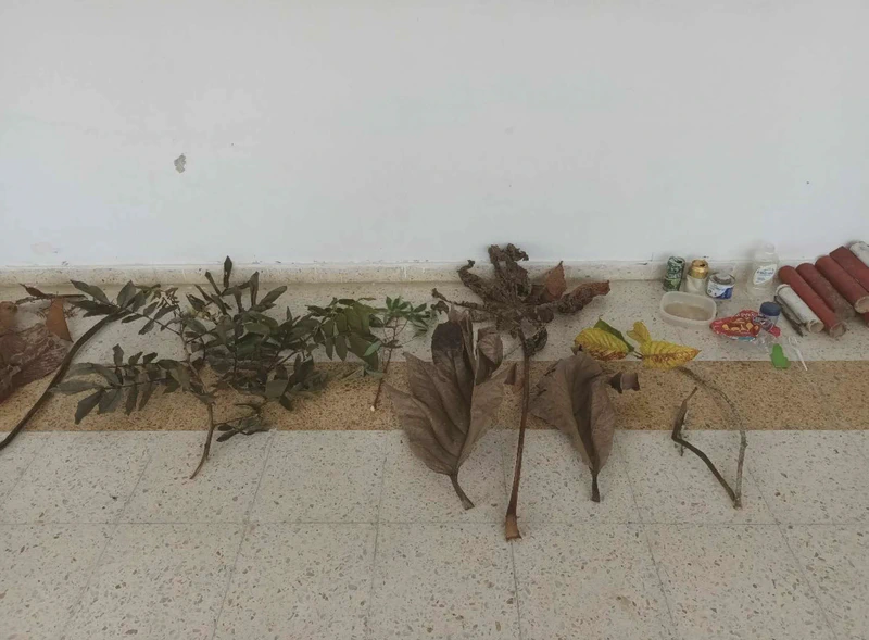 Arqueología de la opulencia