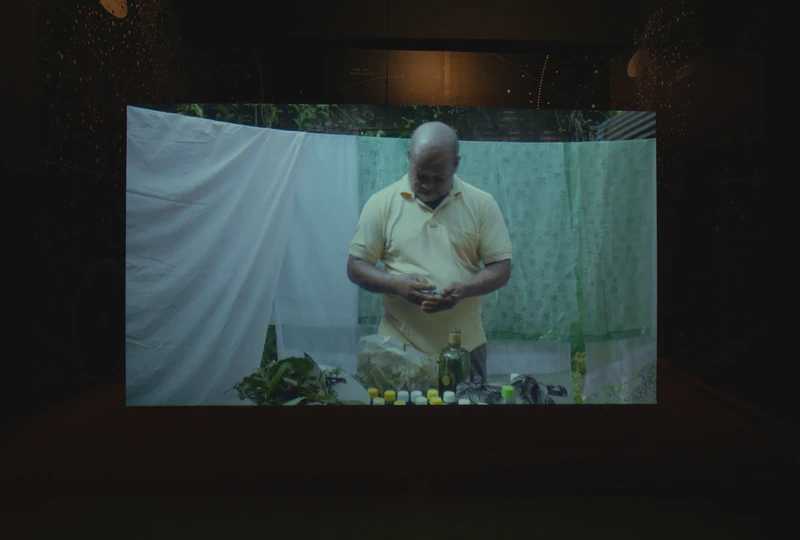 Mil mundos negros que se conectan entre sí