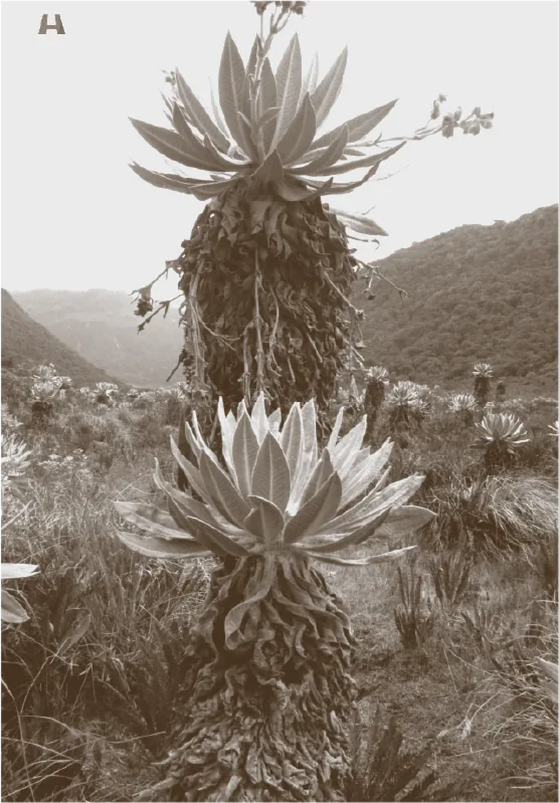 Segunda exposición - Expositivo Expandido