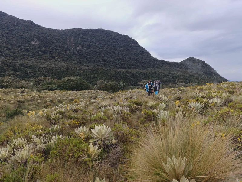 Residencia Yanacroma II