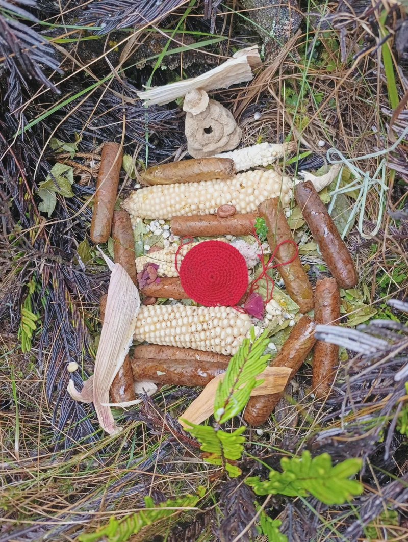 Residencia Yanacroma II