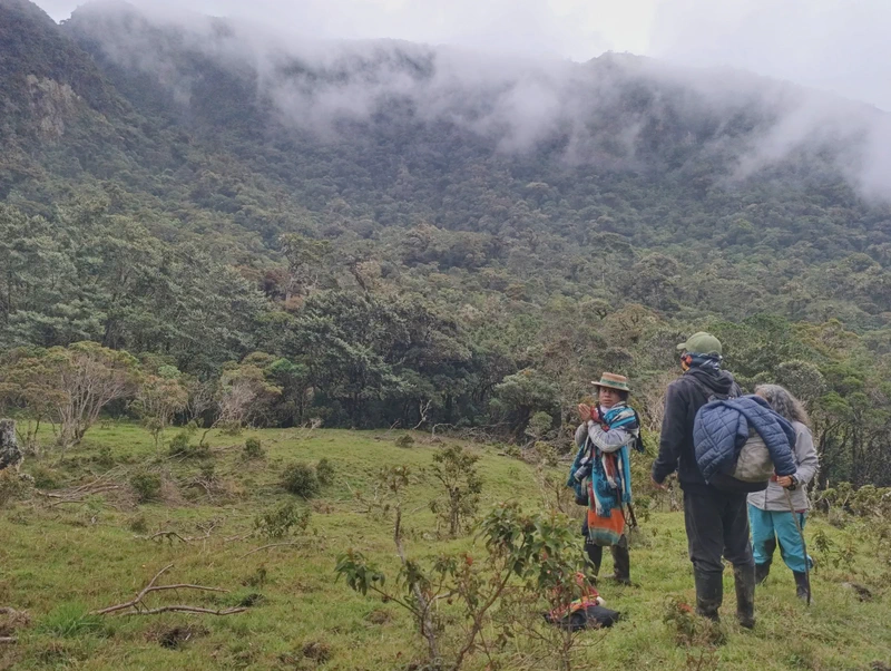 Residencia Yanacroma II