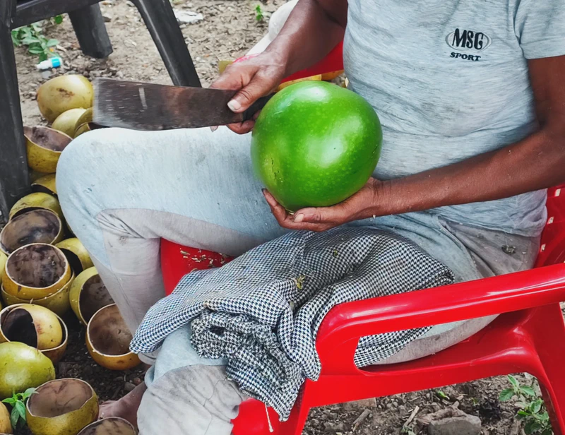 Residencia Consejo Comunitario El Tuno