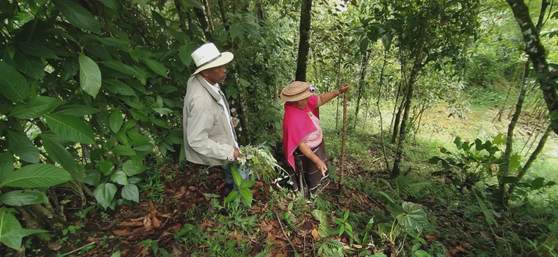 Residencia Ecoaldea Mama Pascuala