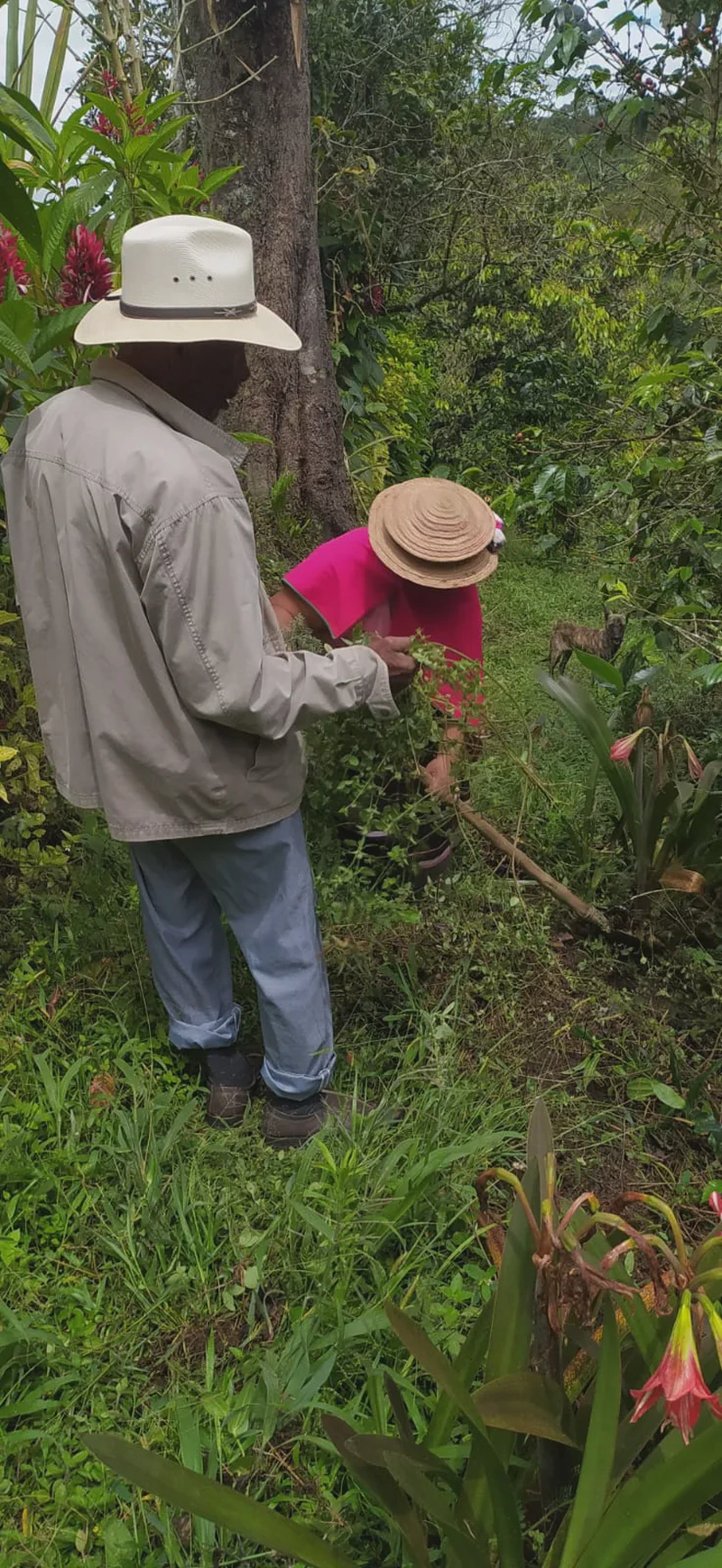 Residencia Ecoaldea Mama Pascuala