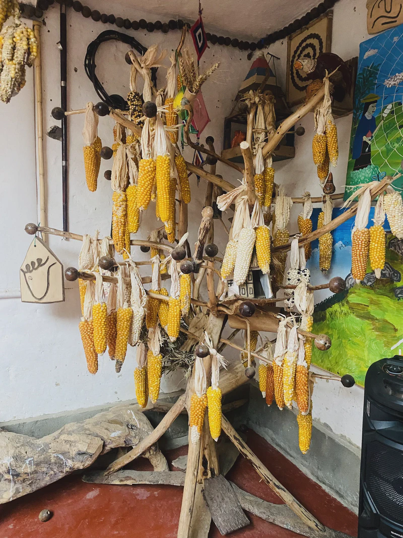 Residencia PIYAPMƟSIK - Casa del Sueño